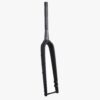 Sour Carbon Fork